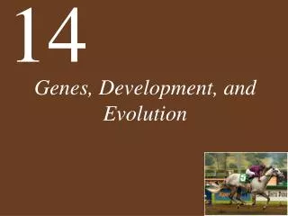 Genes, Development, and Evolution