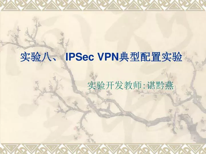 ipsec vpn