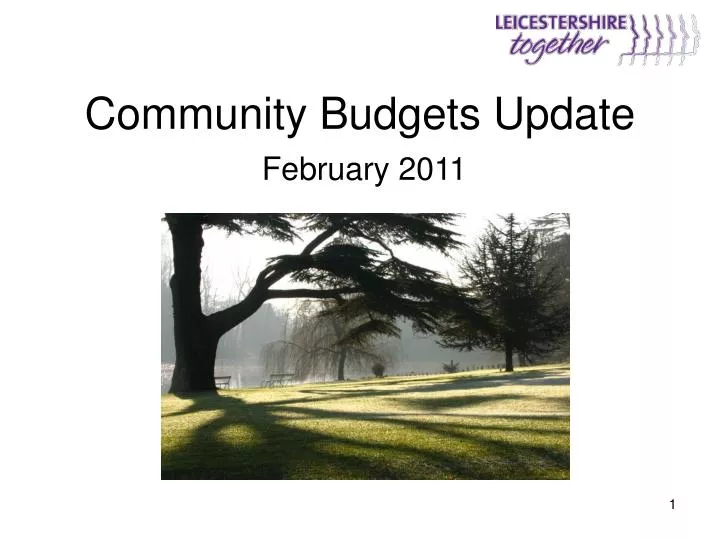 community budgets update