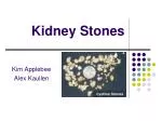 Kidney Stones - slide 1