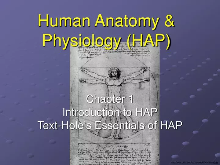 human anatomy physiology hap