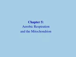 Chapter 5: Aerobic Respiration and the Mitochondrion