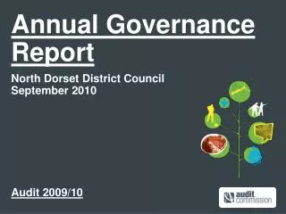 Annual Governance Report