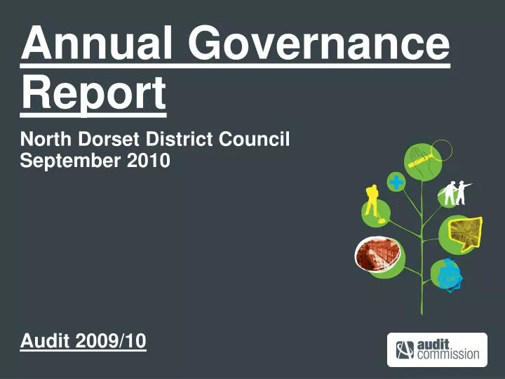 annual governance report