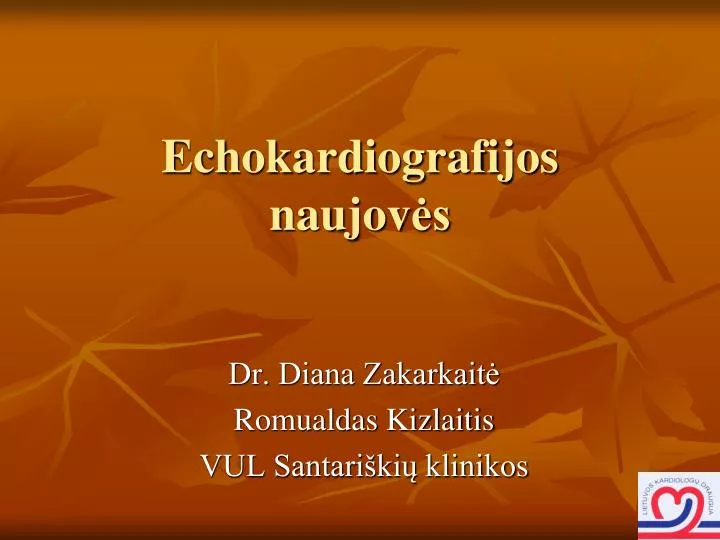 echokardiografijos naujov s