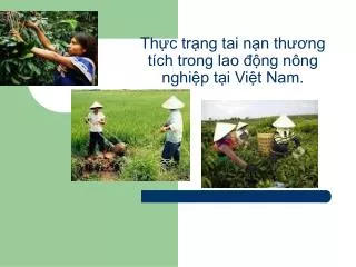 Thực trạng tai nạn thương tích trong lao động nông nghiệp tại Việt Nam.