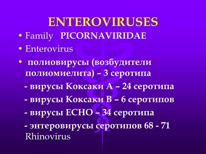 enteroviruses