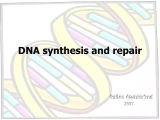 dna synthesis and repair
