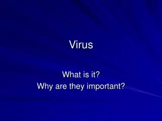 Virus