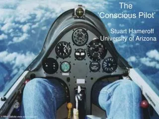 The ‘Conscious Pilot’