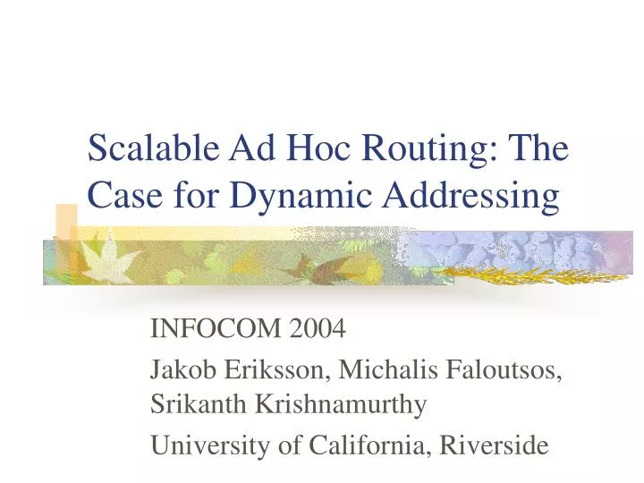 scalable ad hoc routing the case for dynamic addressing