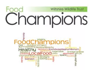 Food Champions Project