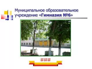 Муниципальное образовательное учреждение « Гимназия №6 »