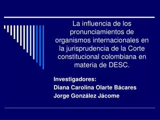 Investigadores: Diana Carolina Olarte Bácares Jorge González Jácome
