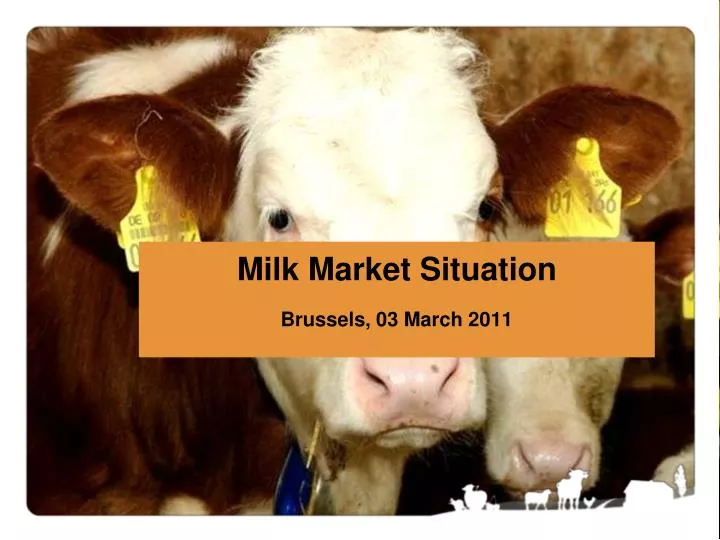 milk market situation brussels 03 march 2011