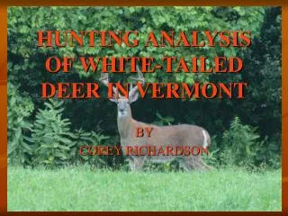 HUNTING ANALYSIS OF WHITE-TAILED DEER IN VERMONT