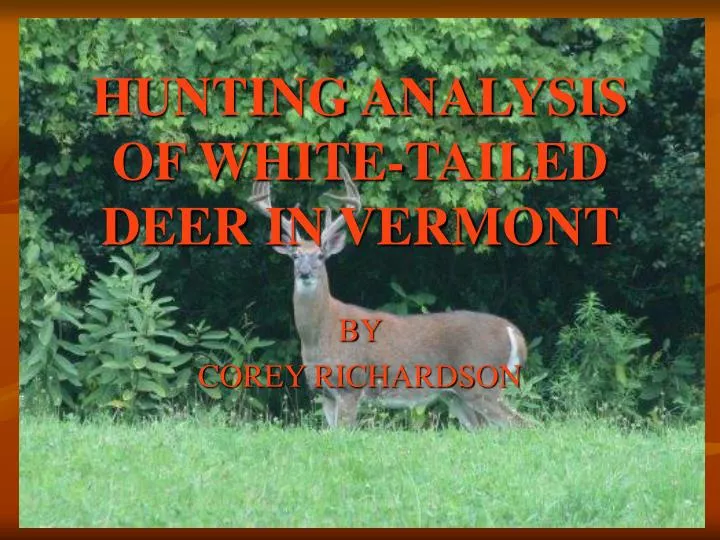 hunting analysis of white tailed deer in vermont