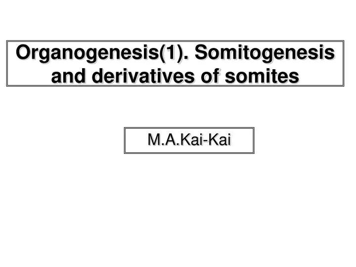 organogenesis 1 somitogenesis and derivatives of somites