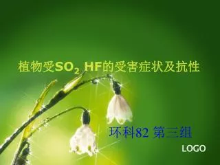 so 2 hf