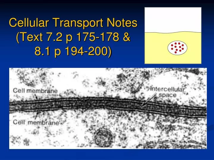 cellular transport notes text 7 2 p 175 178 8 1 p 194 200