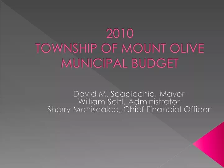 2010 township of mount olive municipal budget