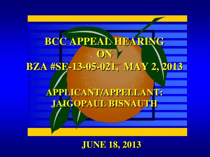 bcc appeal hearing on bza se 13 05 021 may 2 2013 applicant appellant jaigopaul bisnauth