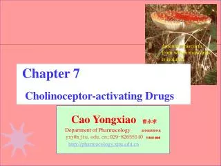 Cao Yongxiao 曹永孝 Department of Pharmacology 医学院药理学系 yxy@xjtu;029-82655140 科教楼 805