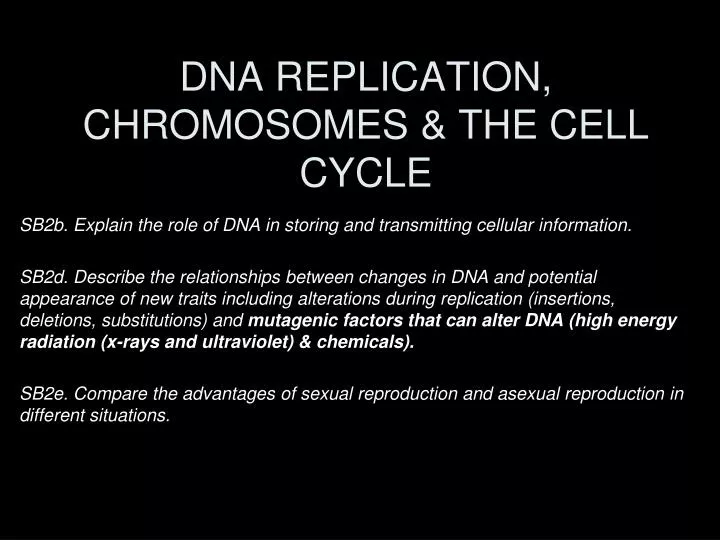 dna replication chromosomes the cell cycle