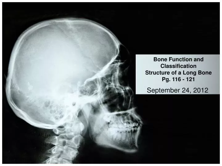 bone function and classification structure of a long bone pg 116 121