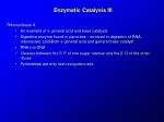 Enzymatic Catalysis III