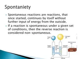 spontaniety
