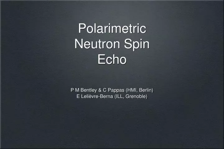 polarimetric neutron spin echo