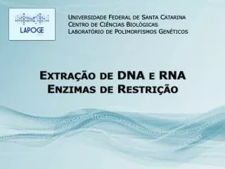 Extração de DNA e RNA Enzimas de Restrição