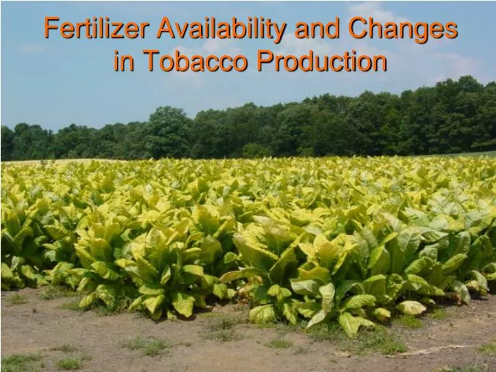 fertilizer availability and changes in tobacco production