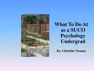 What To Do At as a SUCO Psychology Undergrad By: Christine Noonan