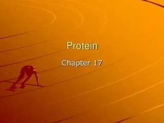 Protein