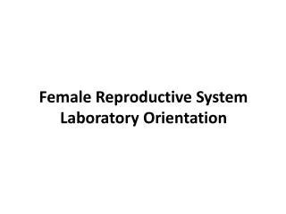 Female Reproductive System Laboratory Orientation