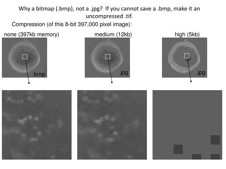 why a bitmap bmp not a jpg if you cannot save a bmp make it an uncompressed tif
