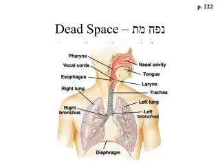 dead space