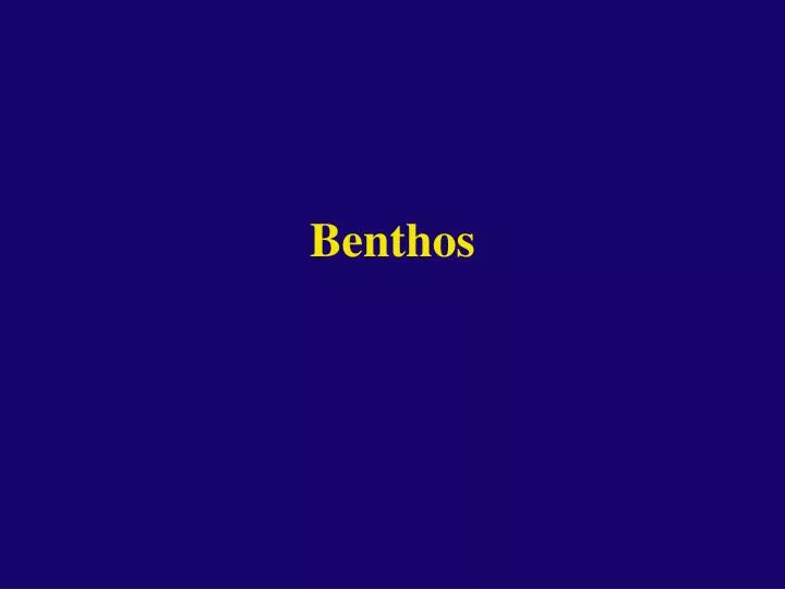 benthos