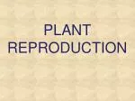 PLANT REPRODUCTION - slide 1