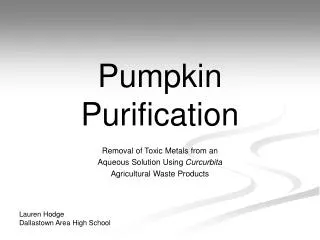 Pumpkin Purification