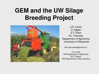 GEM and the UW Silage Breeding Project