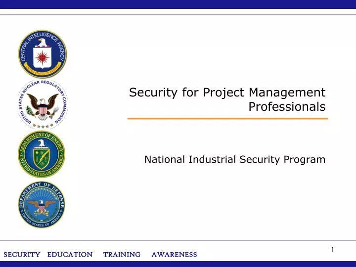 security for project management professionals