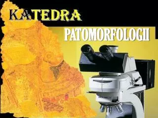 PATOMORFOLOGII