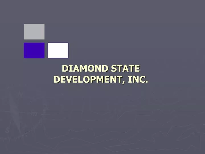 diamond state development inc