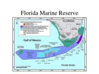 Florida Marine Reserve