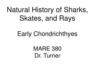 Natural History of Sharks, Skates, and Rays Early Chondrichthyes MARE 380 Dr. Turner