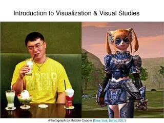Introduction to Visualization &amp; Visual Studies