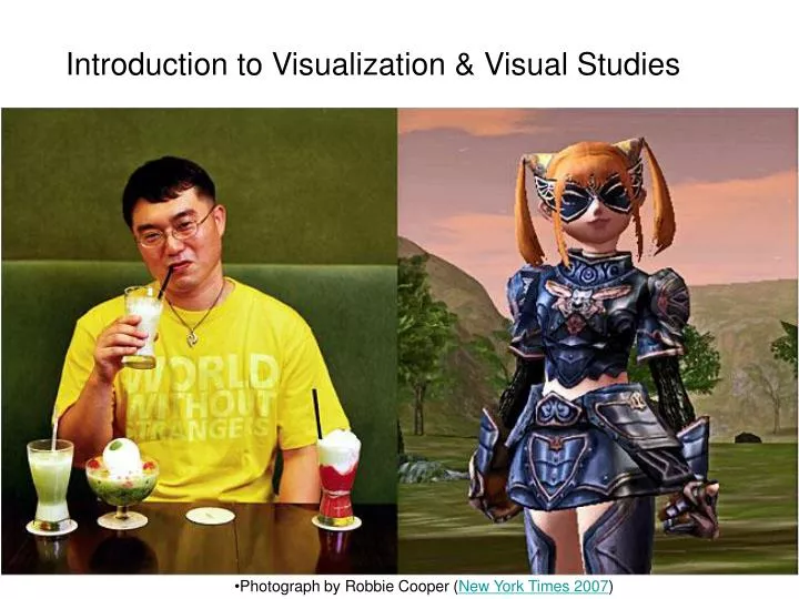 introduction to visualization visual studies
